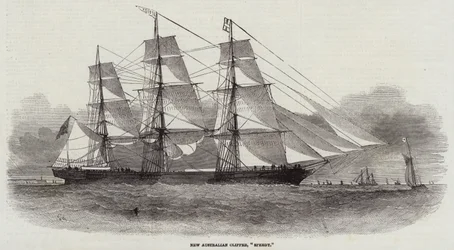 Neuer australischer Klipper, Speedy